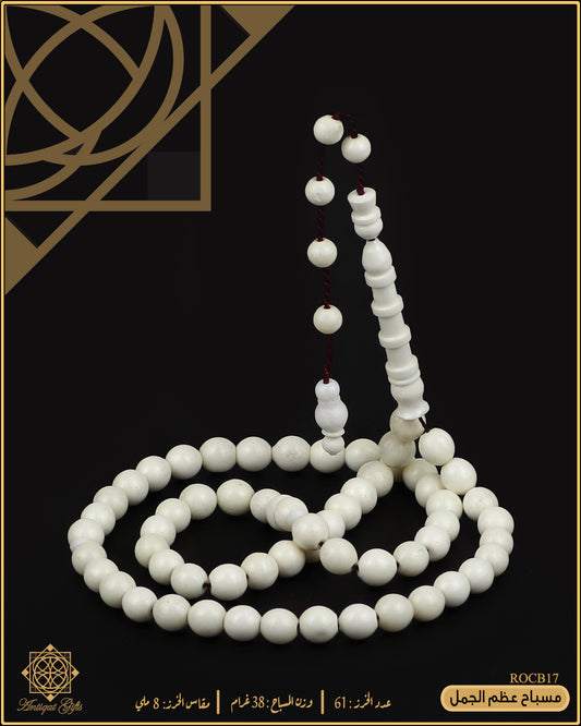 مسباح عظم الجمل