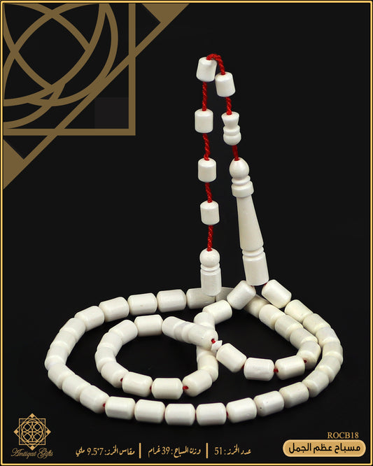 مسباح عظم الجمل