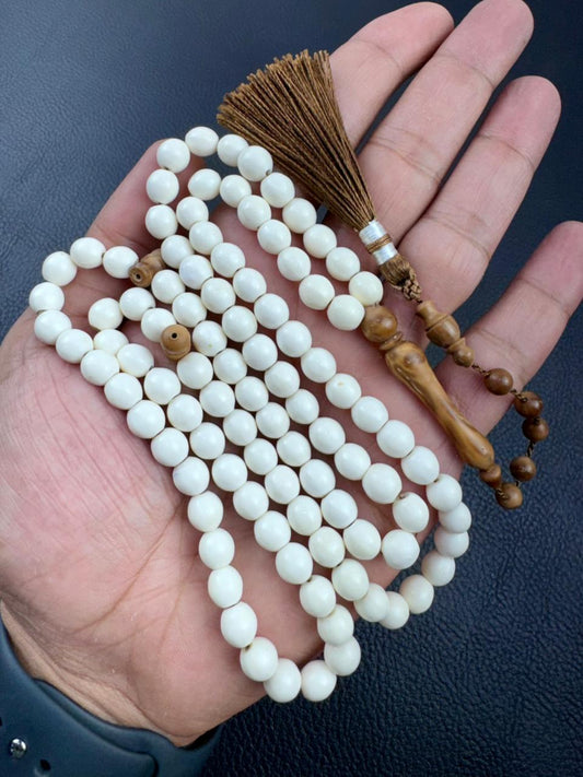 مسباح عظم الجمل الطبيعي