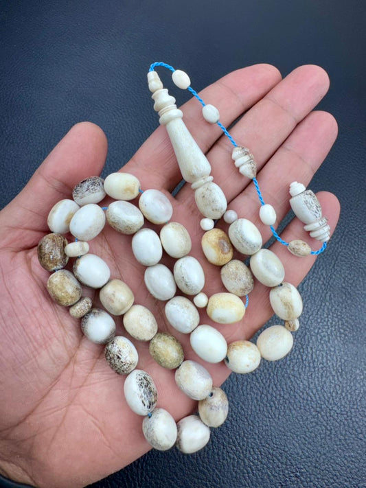 مسباح قرن الغزال الطبيعي