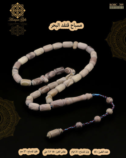 مسباح عرق السواحل (قنفد البحر)
