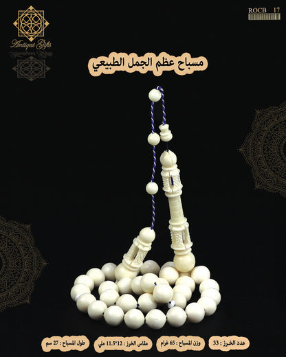 مسباح عظم الجمل الطبيعي