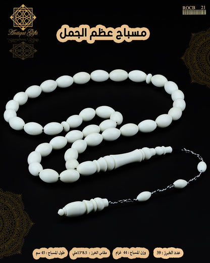 عظم