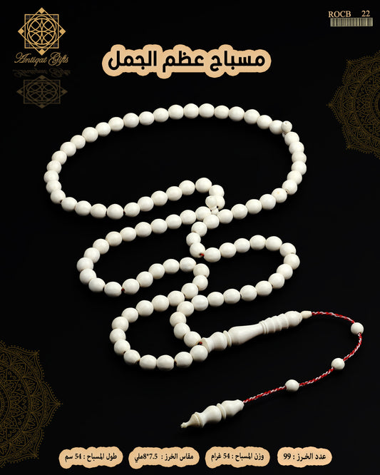 مسباح عظم الجمل الطبيعي