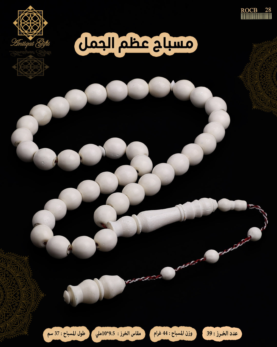 مسباح عظم الجمل الطبيعي