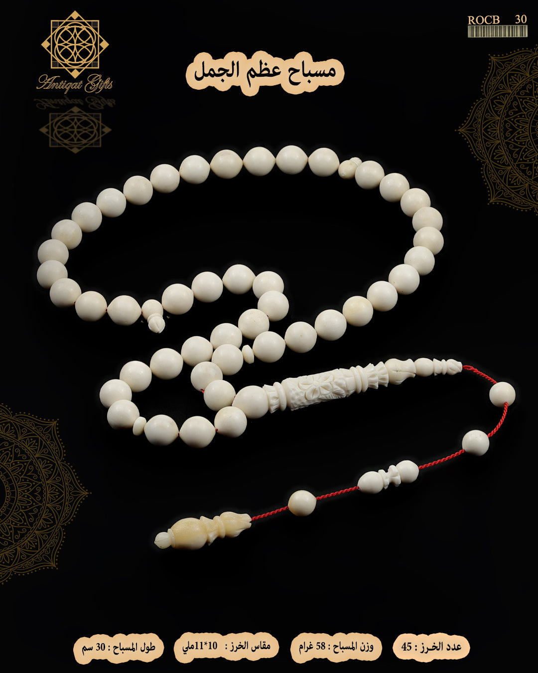 عظم الجمل