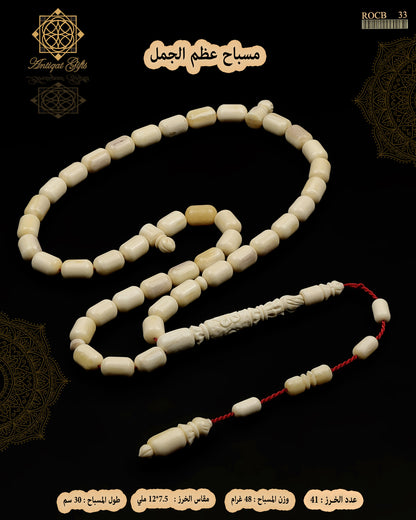عظم جمل