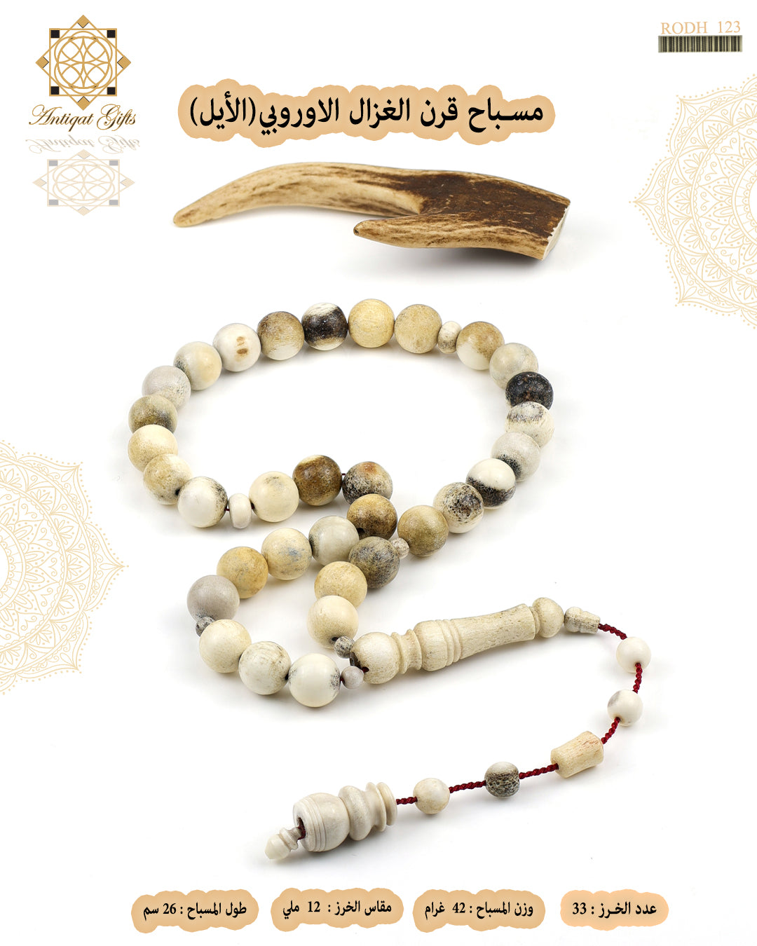 قرن الغزال الاوروبي