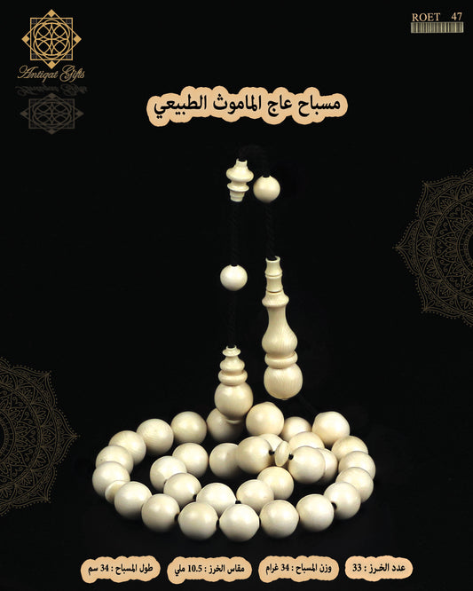 مسباح الماموث