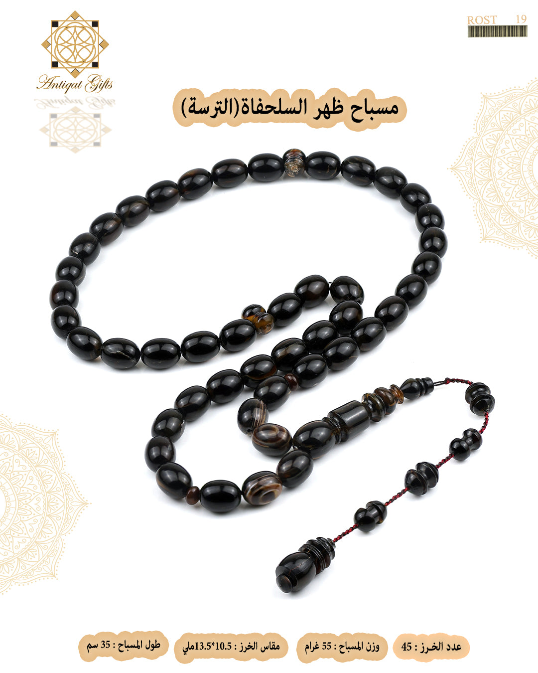 ظهر السلحفاة