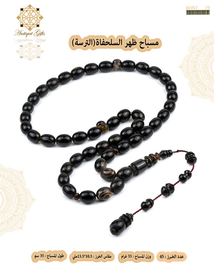 ظهر السلحفاة