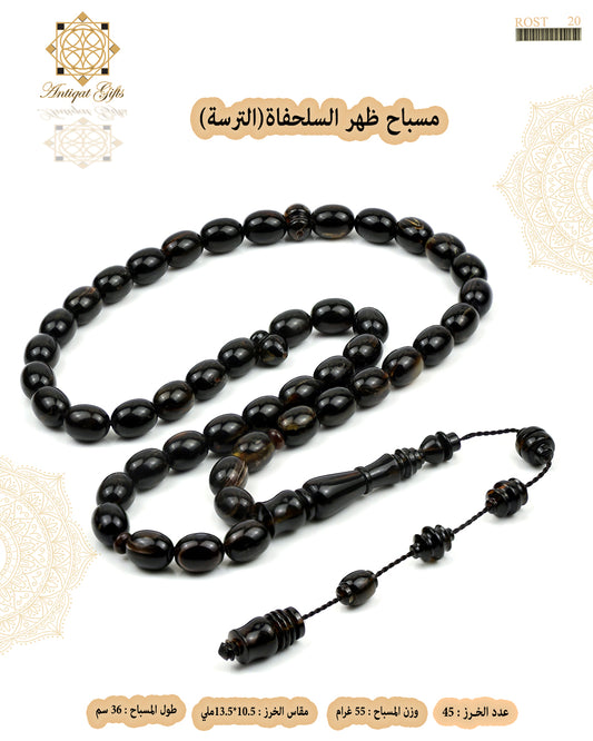 ظهر السلحفاة