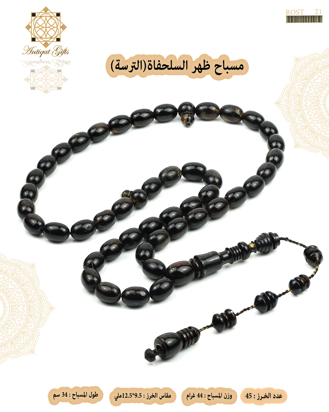 ظهر السلحفاة