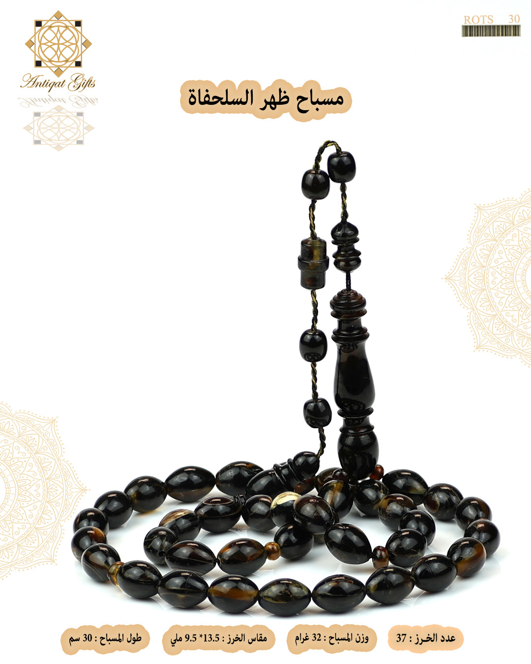 مسباح ظهر السلحفاة الطبيعي