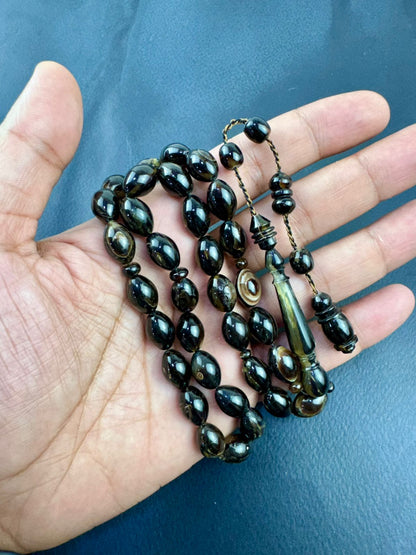 مسباح ظهر السلحفاة الطبيعي