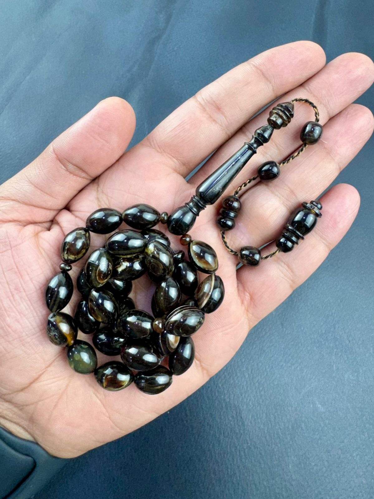 مسباح ظهر السلحفاة الطبيعي