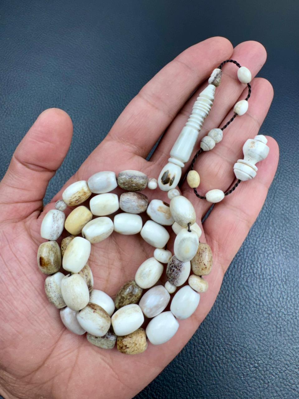 مسباح قرن الغزال الطبيعي