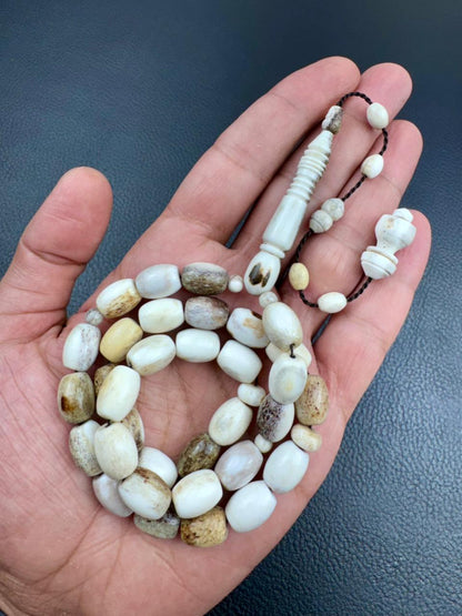 مسباح قرن الغزال الطبيعي