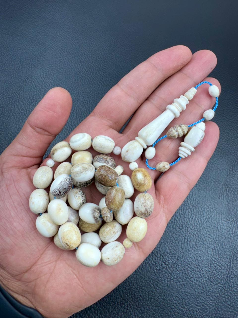 مسباح قرن الغزال الطبيعي