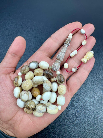 مسباح قرن الغزال الطبيعي