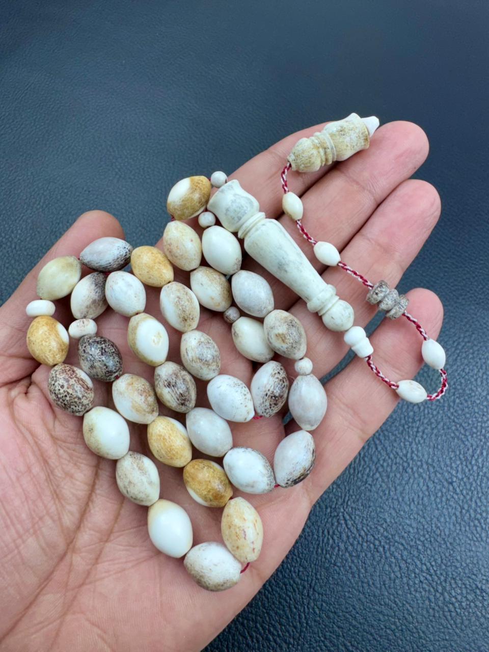 مسباح قرن الغزال الطبيعي