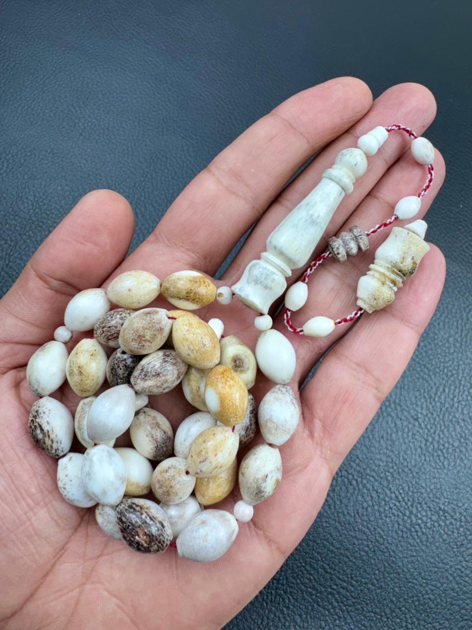 مسباح قرن الغزال الطبيعي