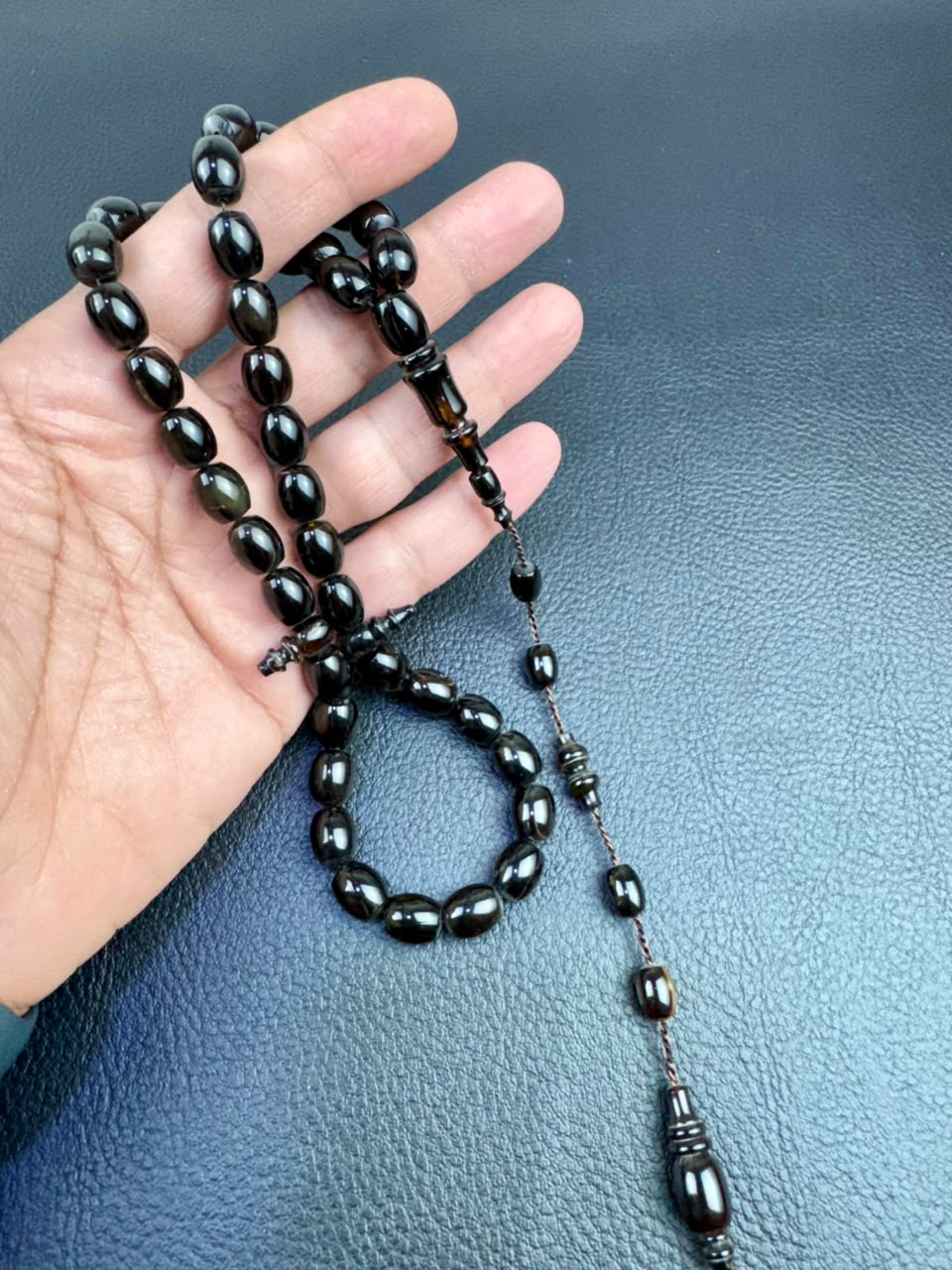 مسباح ظهر السلحفاة الطبيعي