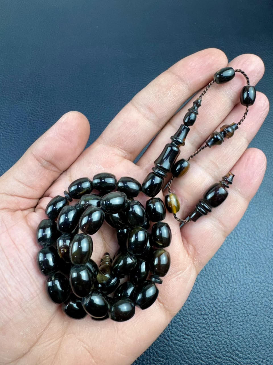 مسباح ظهر السلحفاة الطبيعي