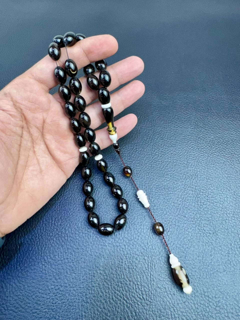 مسباح ظهر السلحفاة الطبيعي