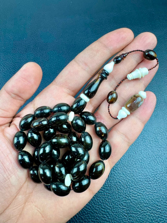 مسباح ظهر السلحفاة الطبيعي