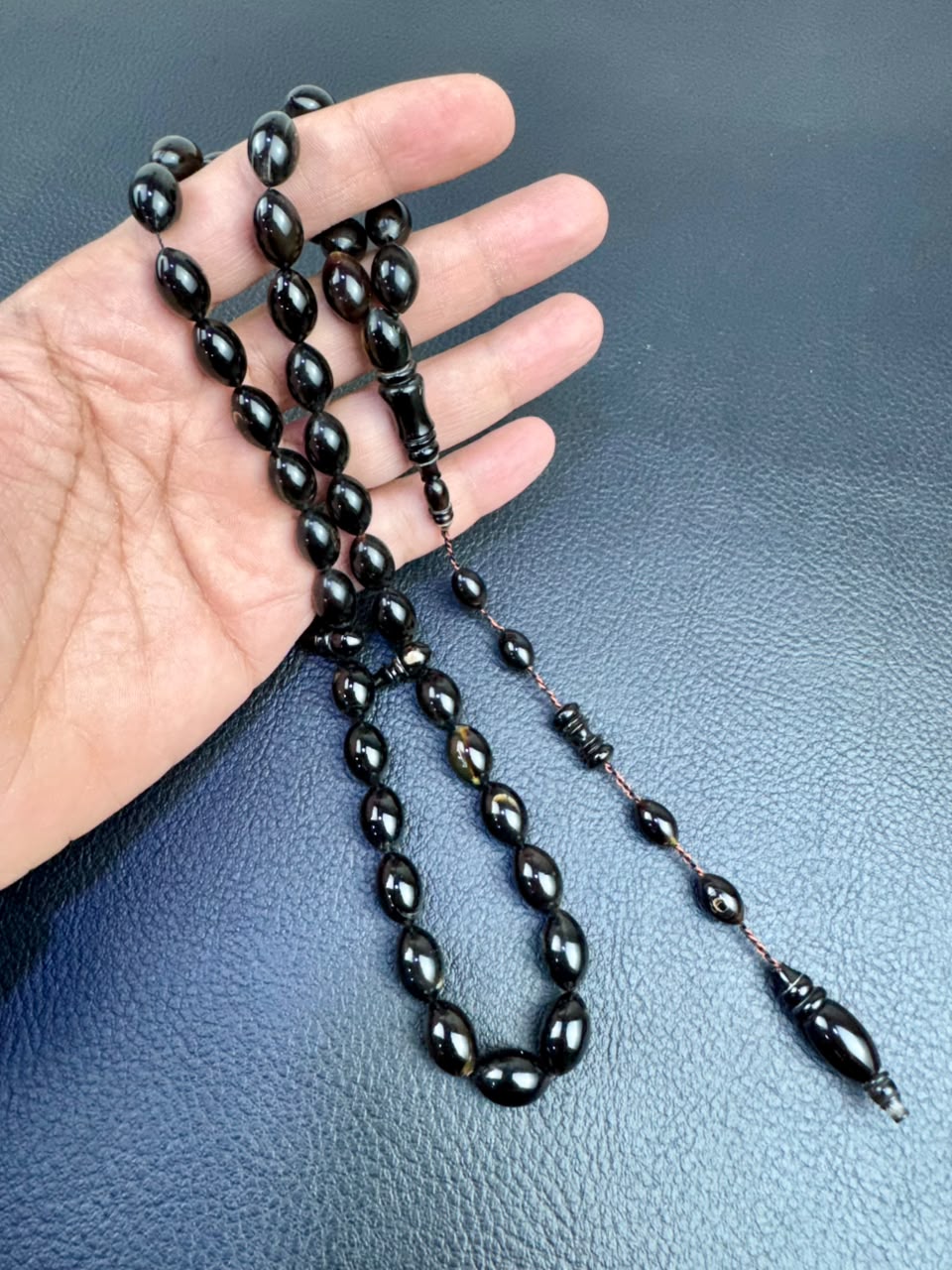 مسباح ظهر السلحفاة الطبيعي