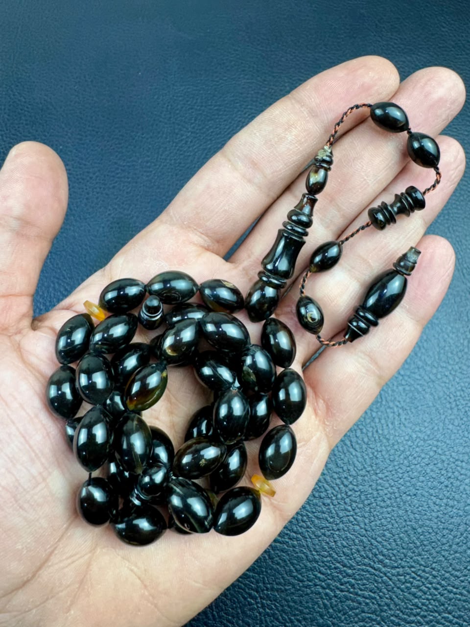 مسباح ظهر السلحفاة الطبيعي