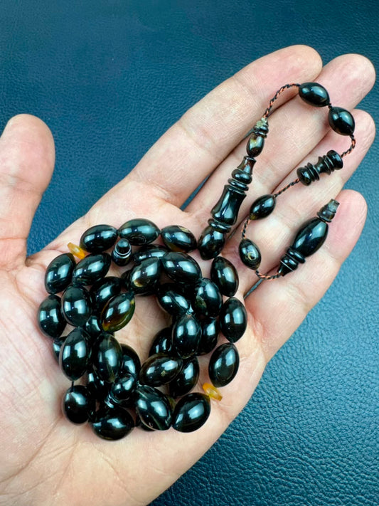 مسباح ظهر السلحفاة الطبيعي
