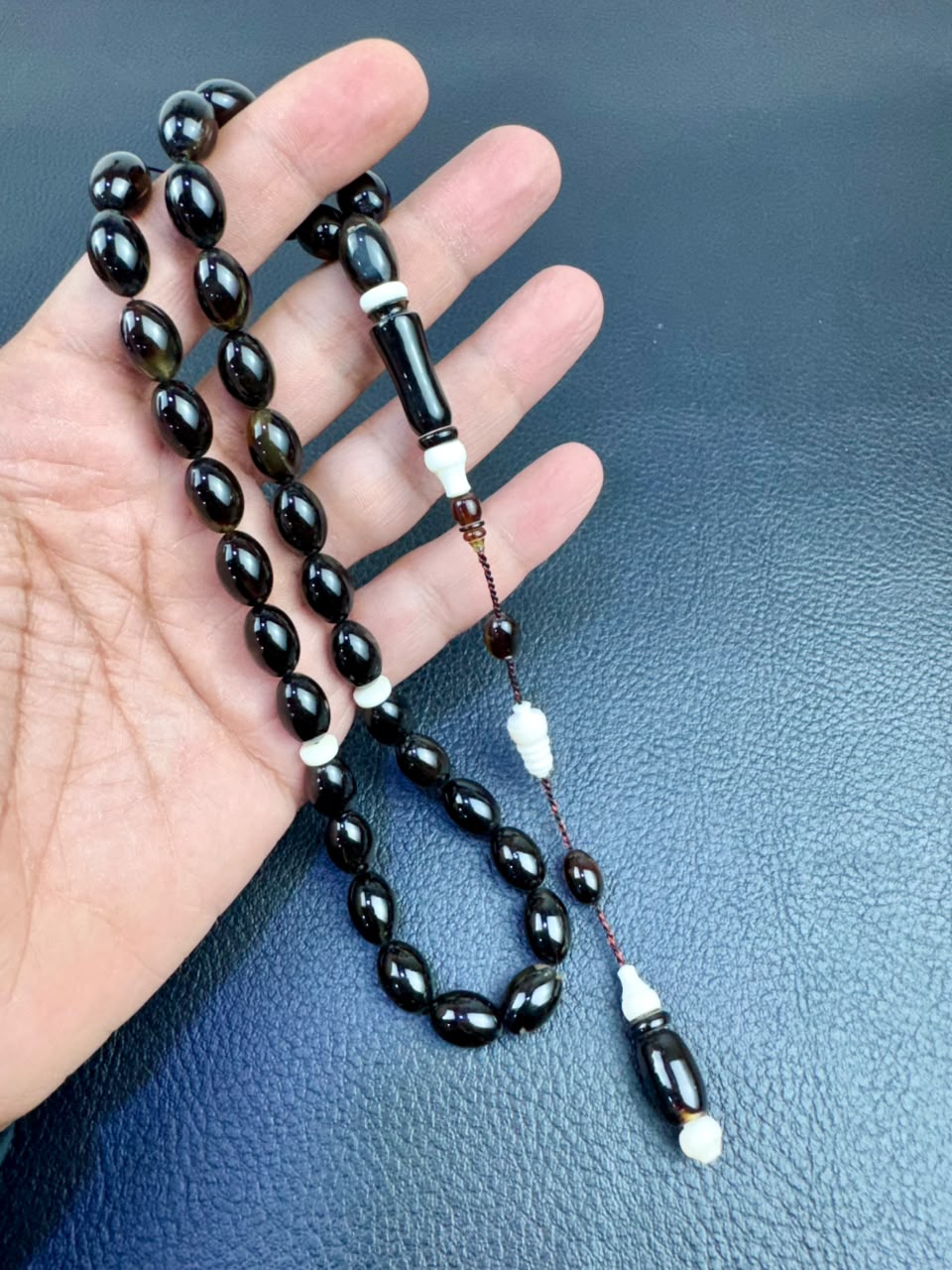مسباح ظهر السلحفاة الطبيعي