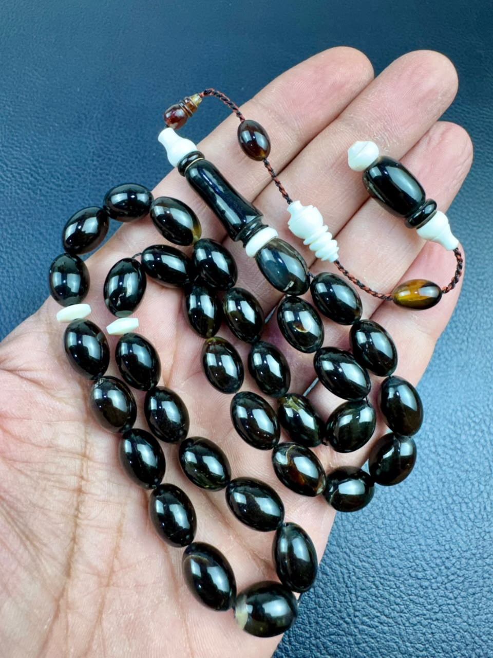 مسباح ظهر السلحفاة الطبيعي