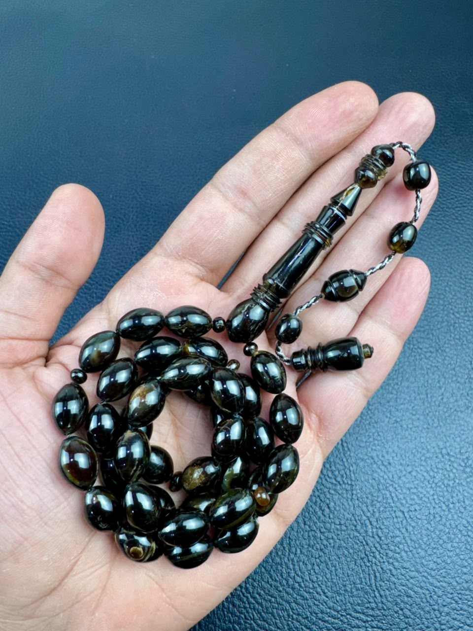 مسباح ظهر السلحفاة الطبيعي