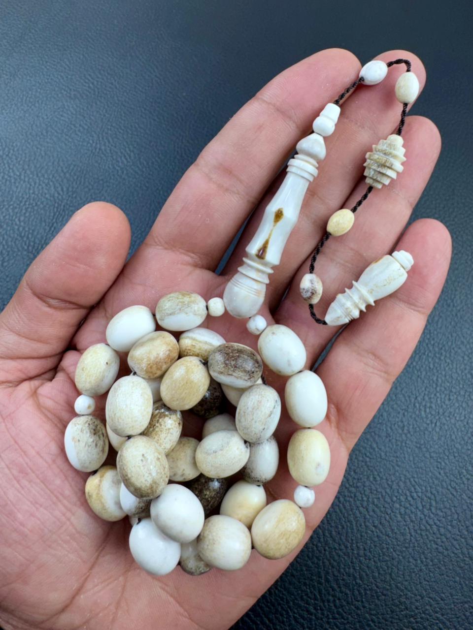 مسباح قرن الغزال الطبيعي