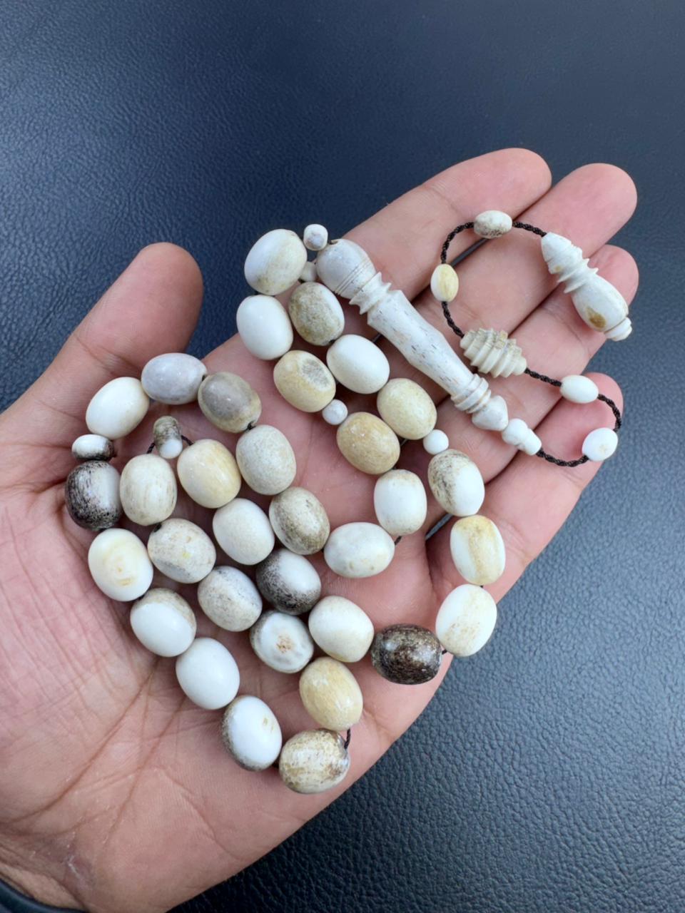 مسباح قرن الغزال الطبيعي