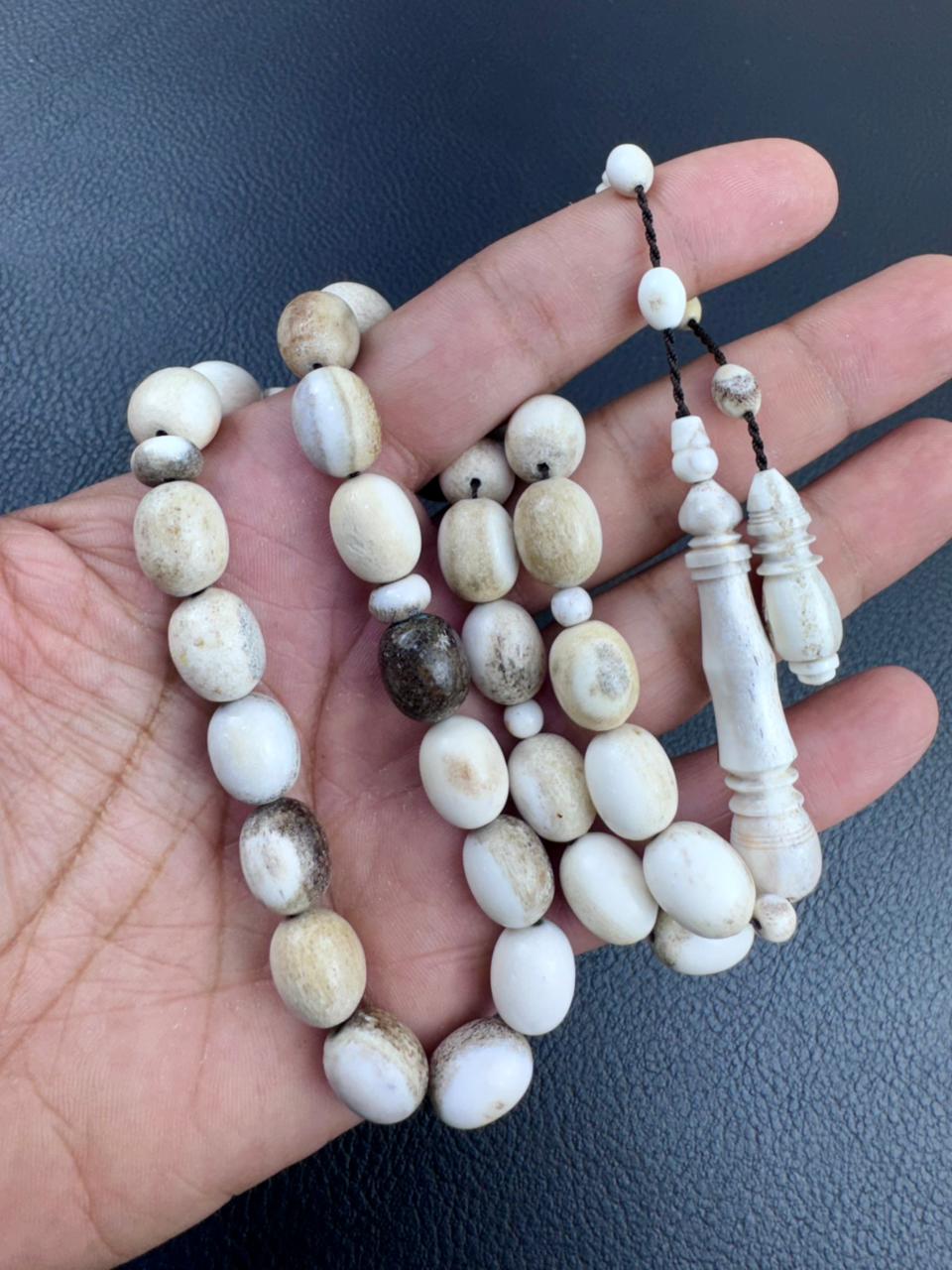 مسباح قرن الغزال الطبيعي