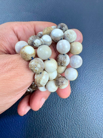 مسباح قرن الغزال الطبيعي
