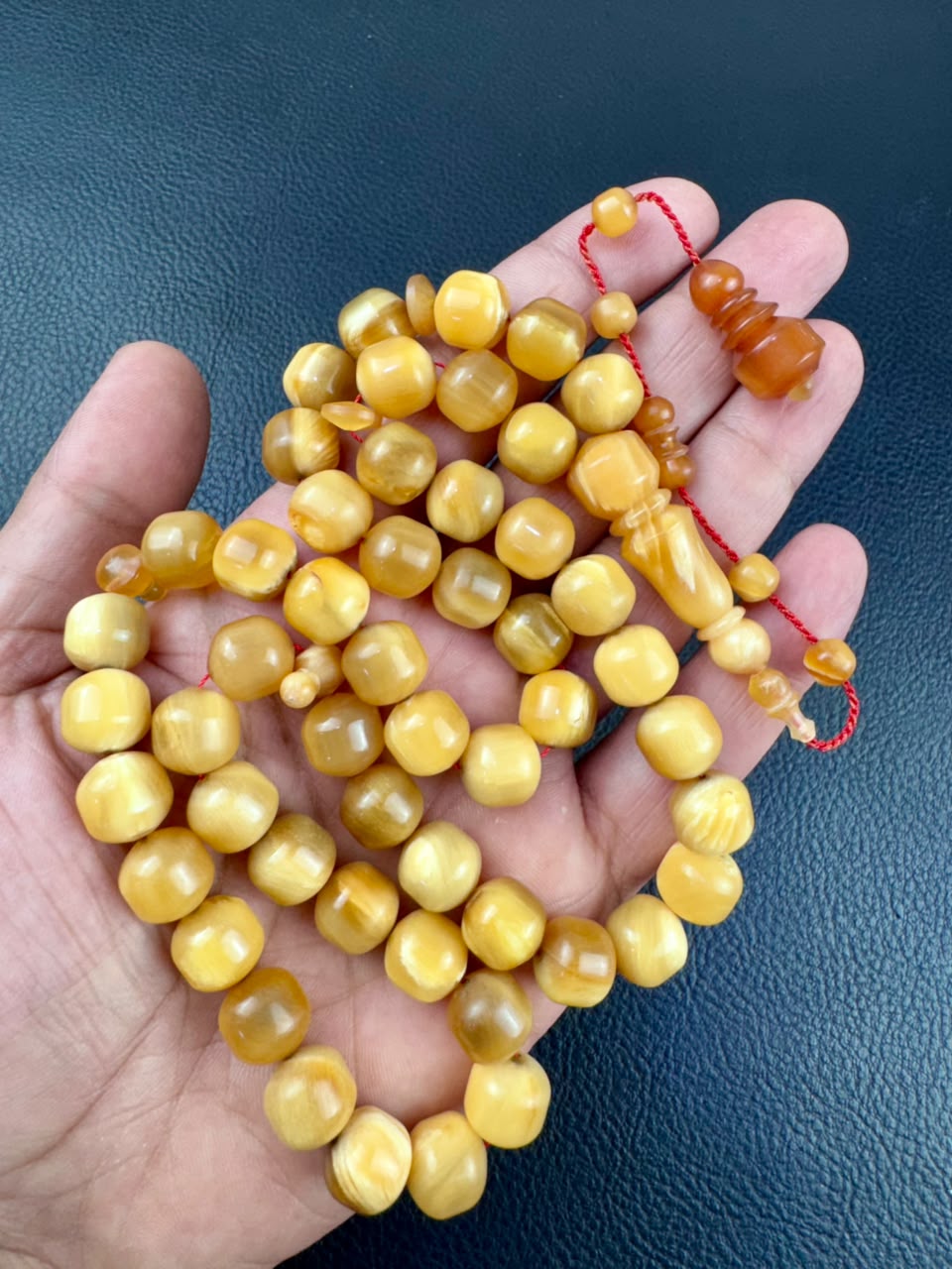 مسباح قرن الجاموس