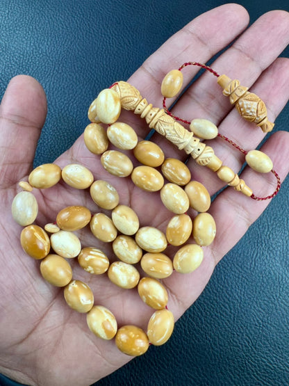 مسباح ثمرة الكوك الطحيني