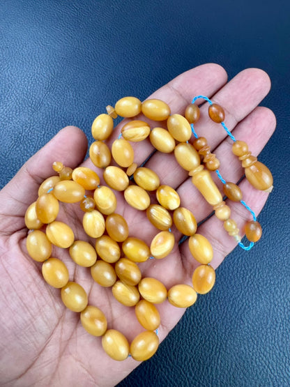 مسباح قرن الجاموس