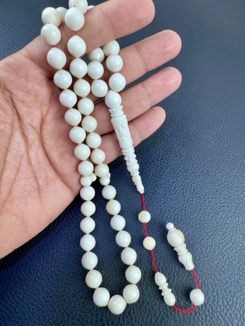 مسباح عظم الجمل الطبيعي