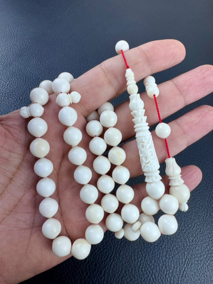 مسباح عظم الجمل الطبيعي
