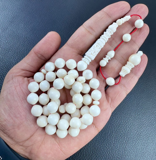 مسباح عظم الجمل الطبيعي