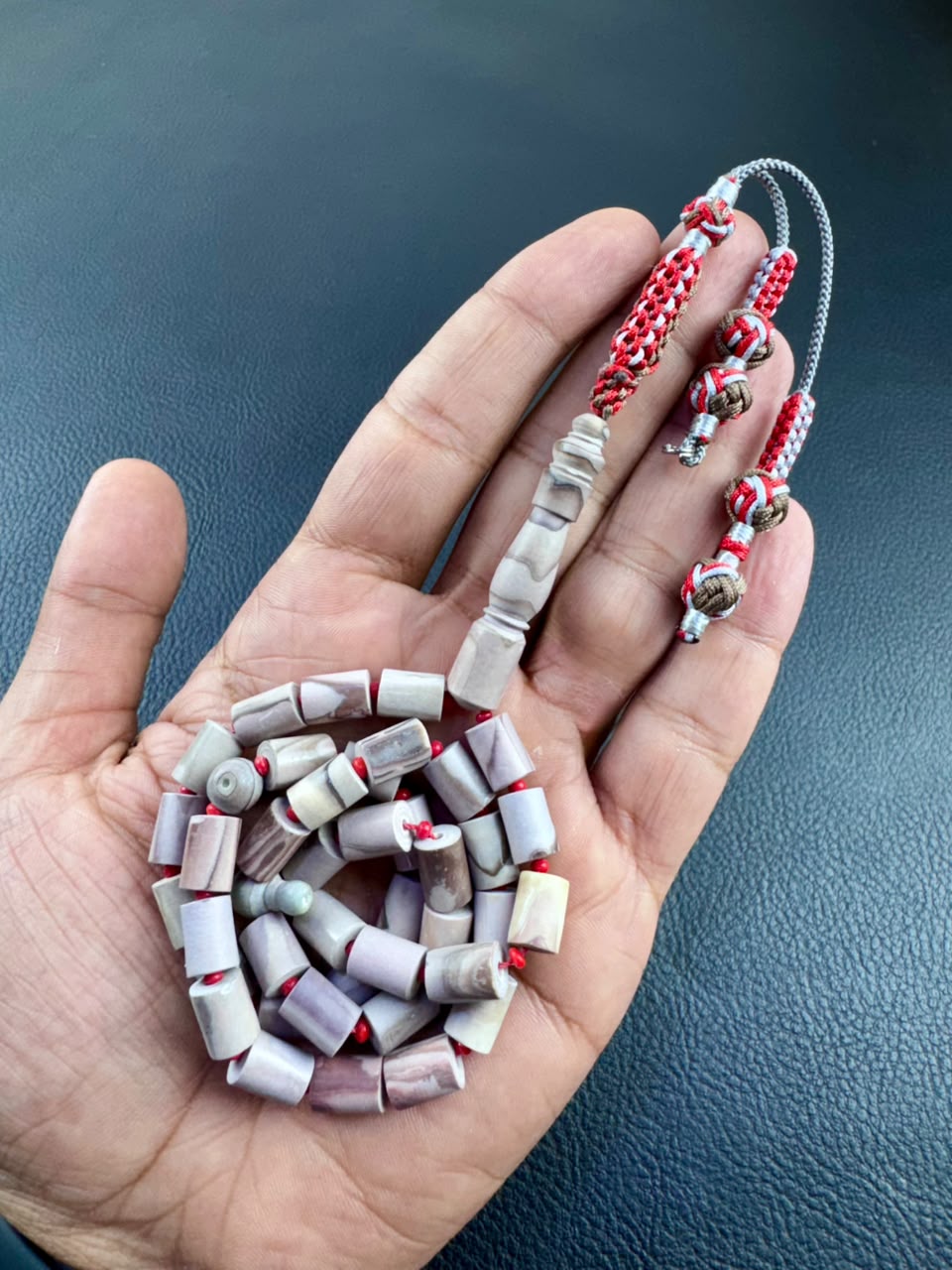 مسباح عرق السواحل (قنفد البحر)