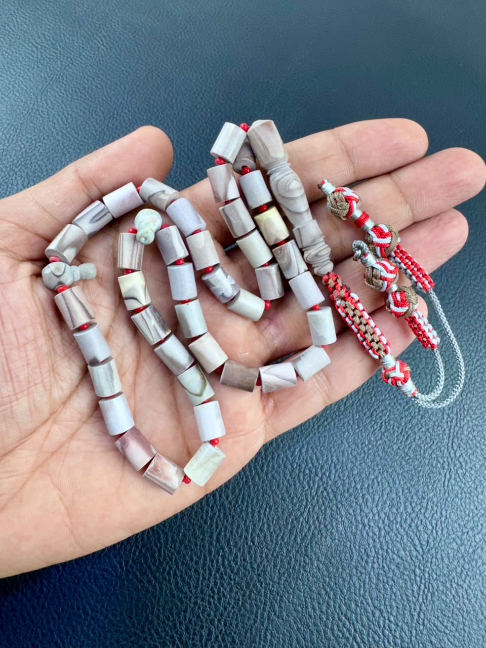 مسباح عرق السواحل (قنفد البحر)
