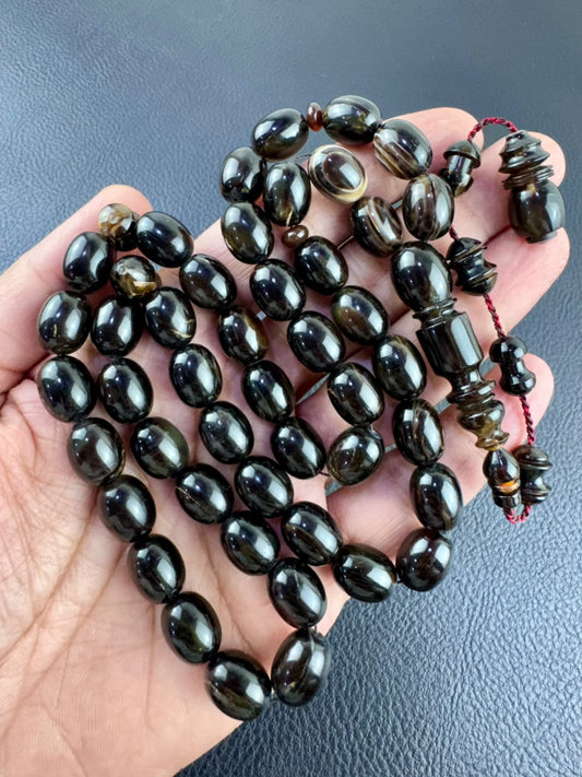 مسباح ظهر السلحفاة الطبيعي