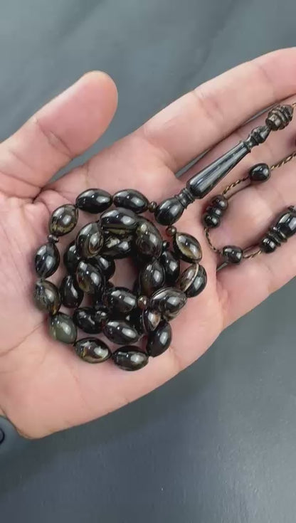 مسباح ظهر السلحفاة الطبيعي